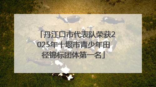 丹江口市代表队荣获2025年十堰市青少年田径锦标团体第一名