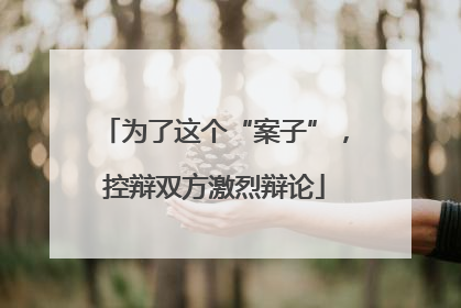 为了这个“案子”，控辩双方激烈辩论