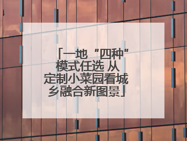 一地“四种” 模式任选 从定制小菜园看城乡融合新图景