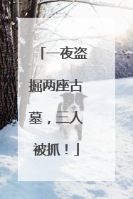 一夜盗掘两座古墓，三人被抓！