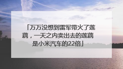 万万没想到雷军带火了莲藕，一天之内卖出去的莲藕是小米汽车的22倍