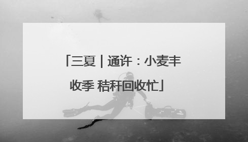 三夏｜通许：小麦丰收季 秸秆回收忙