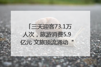 三天迎客73.1万人次，旅游消费5.9亿元 文旅顶流涌动“江宁style”