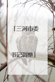 三河市委书记调整