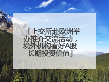 上交所赴欧洲举办推介交流活动，境外机构看好A股长期投资价值