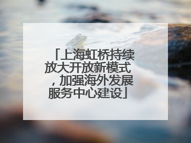 上海虹桥持续放大开放新模式，加强海外发展服务中心建设