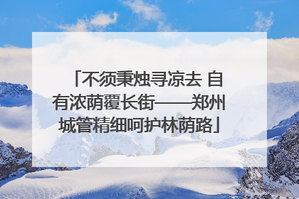 不须秉烛寻凉去 自有浓荫覆长街——郑州城管精细呵护林荫路
