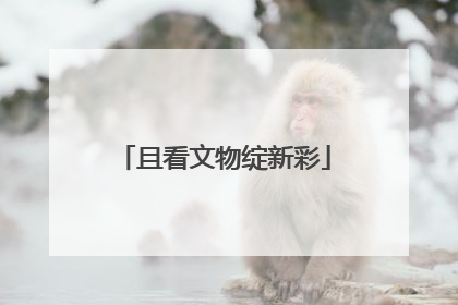 且看文物绽新彩