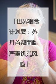世界粮食计划署：苏丹首都面临严重饥荒风险