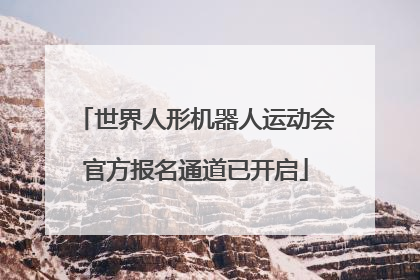世界人形机器人运动会官方报名通道已开启