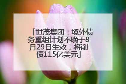 世茂集团：境外债务重组计划不晚于8月29日生效，将削债115亿美元
