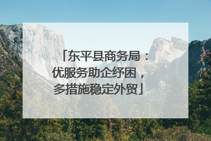 东平县商务局：优服务助企纾困，多措施稳定外贸