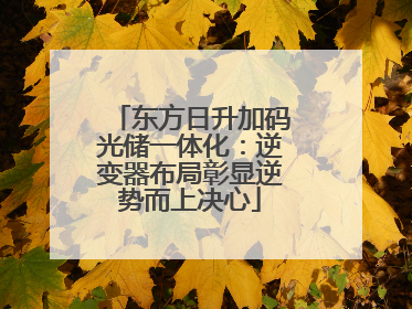 东方日升加码光储一体化：逆变器布局彰显逆势而上决心