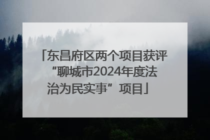 东昌府区两个项目获评“聊城市2024年度法治为民实事”项目