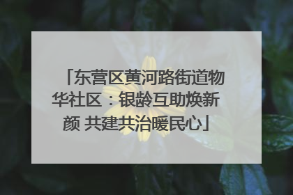 东营区黄河路街道物华社区：银龄互助焕新颜 共建共治暖民心
