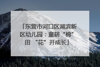 东营市河口区湖滨新区幼儿园：童耕“棉”田 “花”开成长