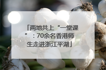 两地共上“一堂课”：70余名香港师生走进浙江平湖