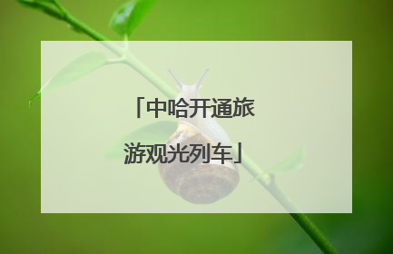 中哈开通旅游观光列车