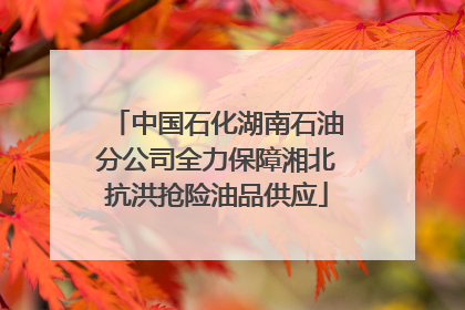 中国石化湖南石油分公司全力保障湘北抗洪抢险油品供应