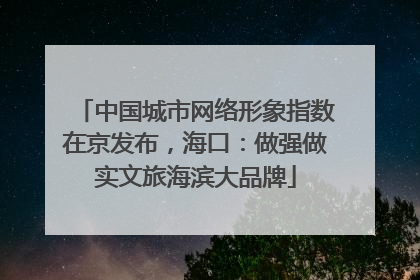 中国城市网络形象指数在京发布，海口：做强做实文旅海滨大品牌