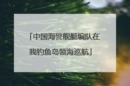中国海警舰艇编队在我钓鱼岛领海巡航
