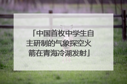 中国首枚中学生自主研制的气象探空火箭在青海冷湖发射