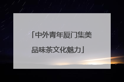 中外青年厦门集美品味茶文化魅力