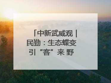 中新武威观｜民勤：生态蝶变引“客”来 野生动物乐逍遥