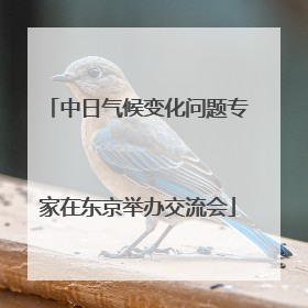 中日气候变化问题专家在东京举办交流会