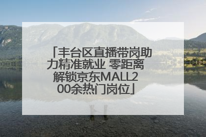 丰台区直播带岗助力精准就业 零距离解锁京东MALL200余热门岗位
