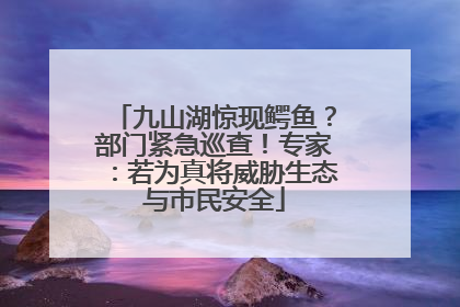 九山湖惊现鳄鱼？部门紧急巡查！专家：若为真将威胁生态与市民安全