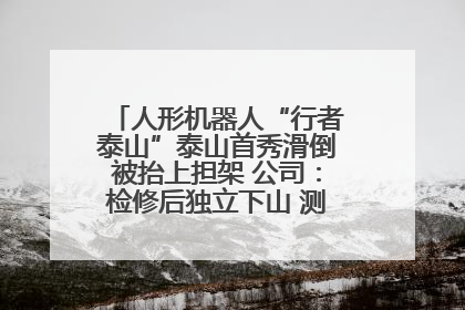 人形机器人“行者泰山”泰山首秀滑倒被抬上担架 公司：检修后独立下山 测试就是为暴露问题