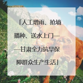人工增雨、抢墒播种、送水上门——甘肃全力抗旱保障群众生产生活