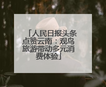 人民日报头条点赞云南：观鸟旅游带动多元消费体验