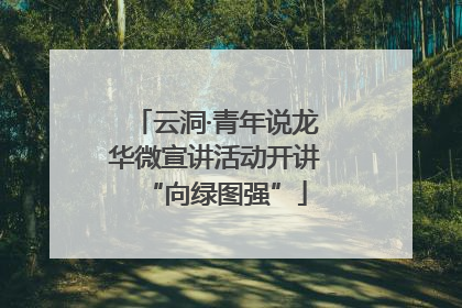云洞·青年说龙华微宣讲活动开讲“向绿图强”