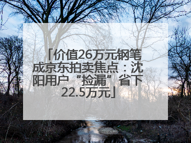 价值26万元钢笔成京东拍卖焦点：沈阳用户“捡漏”省下22.5万元