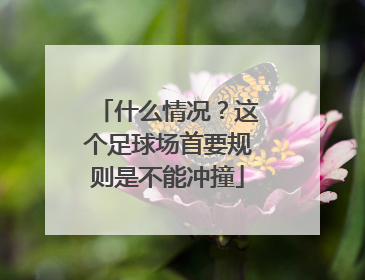 什么情况？这个足球场首要规则是不能冲撞