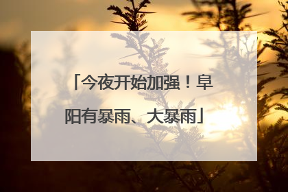 今夜开始加强！阜阳有暴雨、大暴雨