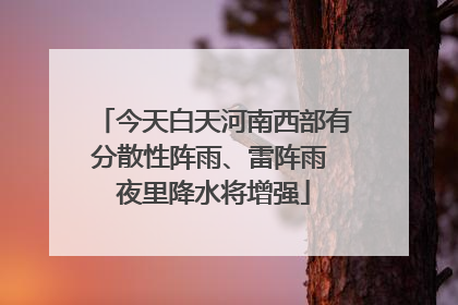 今天白天河南西部有分散性阵雨、雷阵雨 夜里降水将增强