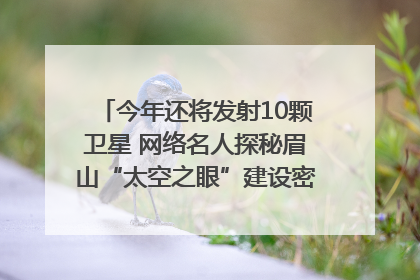 今年还将发射10颗卫星 网络名人探秘眉山“太空之眼”建设密码｜网络名人四川行