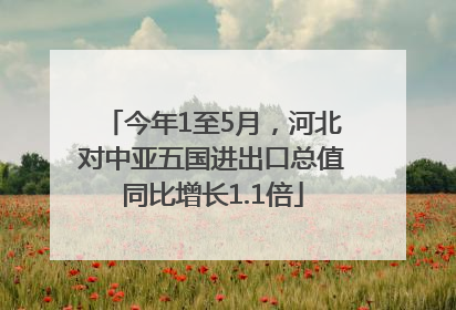 今年1至5月，河北对中亚五国进出口总值同比增长1.1倍