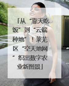 从“靠天吃饭”到“云端种地”！莱芜区“空天地网”织出数字农业新图景