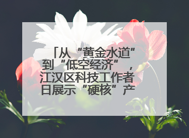 从“黄金水道”到“低空经济”，江汉区科技工作者日展示“硬核”产业答卷