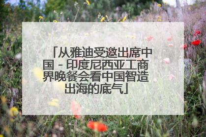 从雅迪受邀出席中国－印度尼西亚工商界晚餐会看中国智造出海的底气