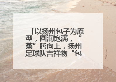 以扬州包子为原型，圆润饱满，“蒸”腾向上，扬州足球队吉祥物“包赢”亮相即售罄