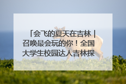 会飞的夏天在吉林｜召唤最会玩的你！全国大学生校园达人吉林探线活动招募中
