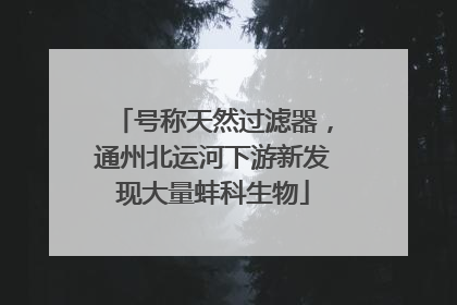 号称天然过滤器，通州北运河下游新发现大量蚌科生物