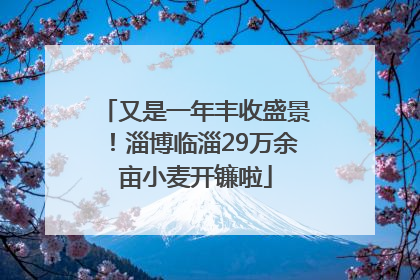 又是一年丰收盛景！淄博临淄29万余亩小麦开镰啦