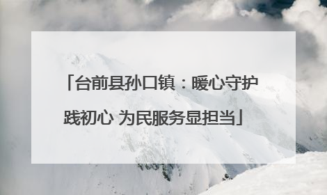 台前县孙口镇：暖心守护践初心 为民服务显担当