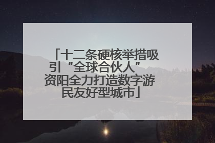 十二条硬核举措吸引“全球合伙人” 资阳全力打造数字游民友好型城市